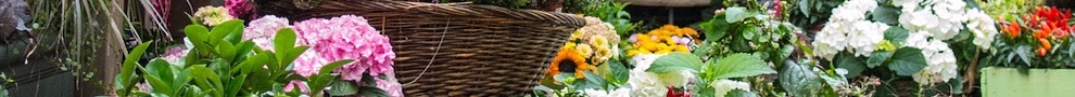 jardinero
